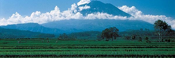 Bali Agung Mountain