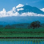 Bali Agung Mountain